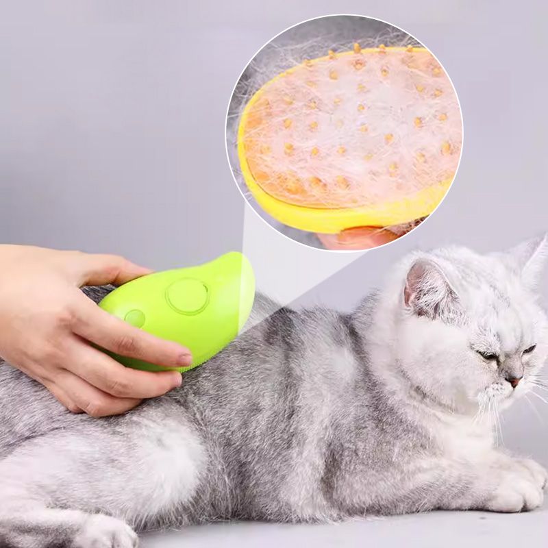 Anti-splashing Cat Brush with Steam Spray - Great Gift