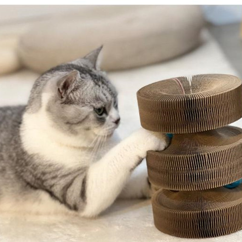 The Perfect Toy for Your Cat—With a Twist!