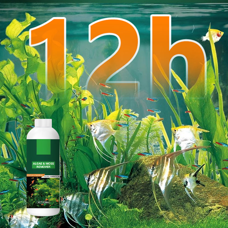 🎉Buy More Save More💥 Algae & Moss Remover for Fish Tank - Safe Water Purification